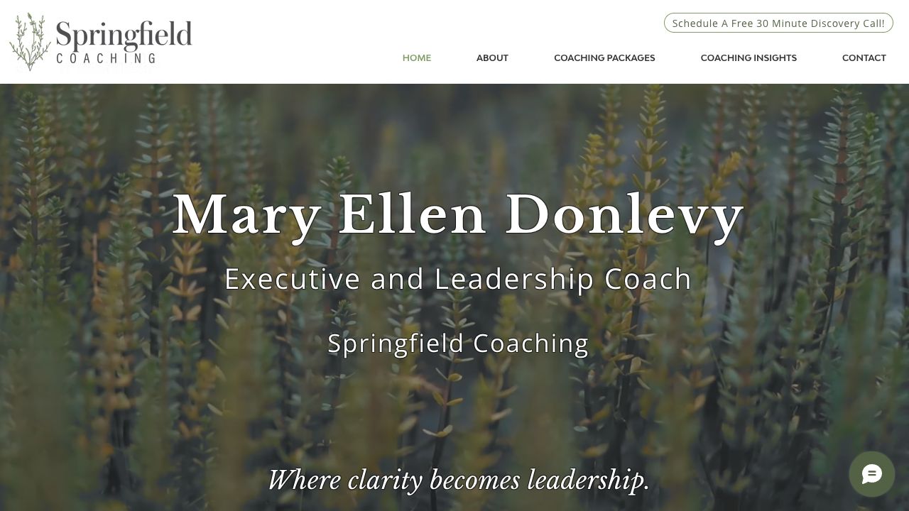 Springfield Coaching homepage featuring Mary Ellen Donlevy and her executive and leadership coaching services